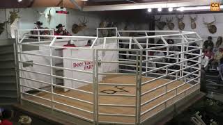 Part 1 Deer Valley Farms Production Sale Fayetteville TN NOV 2024Nov09110524mp4 [upl. by Nivets]