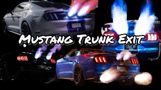 How the Trunk Exit Mustang Happened [upl. by Hales]