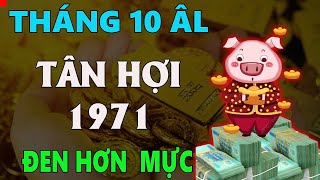 Tử vi tuổi TÂN HỢI 1971 tháng 10 âm lịch HUNG VẬN BAO VÂY ĐEN KHÔNG ĐỂ ĐÂU CHO HẾT [upl. by Latsyk]