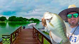 DOCK SHOOTING for CRAPPIE in May 2024‼️🎣🐟 [upl. by Mendelsohn824]