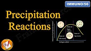 Precipitation Reactions and Precipitation Curve Diagnostic Immunology FLImmuno56 [upl. by Nogam]