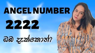 ANGEL NUMBER 2222 ඔබ දැක්කොත් [upl. by Euqina]