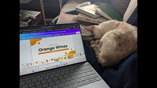 Orange Wine Take 2 [upl. by Adnat]