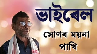 সোনাৰ ময়না পাখিShunarmoynapakhiviralsong2024 [upl. by Aihtnys511]