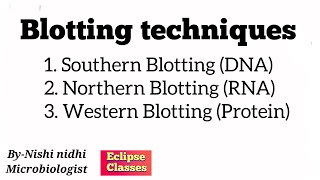 blotting techniques  byNishi Nidhi  general Microbiology  eclipse classes [upl. by Bathulda542]