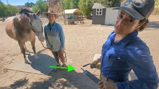 Farrier to the Rescue Treating Double Hoof Abscesses and Burning my Horses Hooves [upl. by Post948]