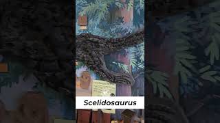 Stunning Scelidosaurus on Display [upl. by Areit]