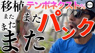 【もうええわ】移植したナイキテンポネクスト％パンク発生。 [upl. by Adnwahsor19]