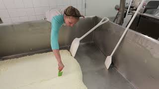 How Its Made Cheese Curds at Hansens Dairy [upl. by Anircam]