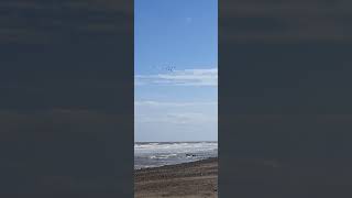 Geese flying over the East Coast yorkshire geese waves windy [upl. by Caffrey]