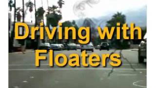 Vitreous Floaters  Driving Simulator [upl. by Genna]