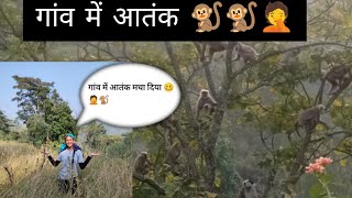 गांव में आतंक मचा दिया है 🤦🐒🐒🏔️ [upl. by Evaleen]