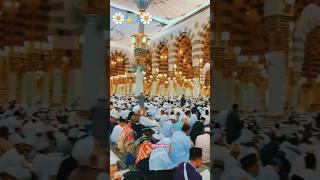 Hamne mana ke jannat bahut hai hasi song love naat ilovemadinasharif [upl. by Richlad]