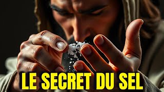 LE SEL ESTIL UNE ARME SPIRITUELLE  La vérité sur le SEL dans la Bible JÉSUS PARLE DE SEL [upl. by Ethyl]