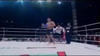 PRIDE FC MINOTAURO VS BOB SAPP LUTA ÉPICA  DAVI Vs GOLIAS [upl. by Wauters438]