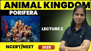 Porifera Sponges  Animal Kingdom  Lecture 2  Suman Yadav [upl. by Barbie]