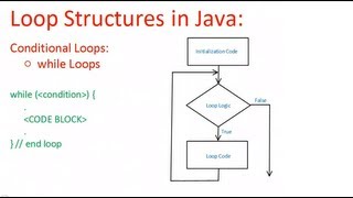 Basic Loops  while loops [upl. by Trinee364]