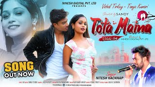 Tota Maina  Nitesh Kachhap  New Nagpuri Dance Video Song 2024 [upl. by Gean4]