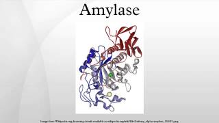 Amylase [upl. by Drahser]