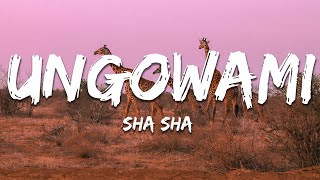 Sha Sha  Ungowami ft Soa Mattrix Lyrics [upl. by Cahra819]