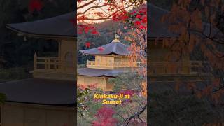 Kinkakuji Temple in Kyoto  Fall foliage [upl. by Arhat132]