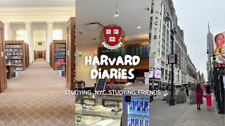 koreng harvard vlog 𖥔˖ law school short trip to NYC 하버드 브이로그 [upl. by Dnalloh]