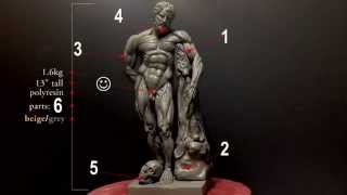 Highly Detailed Anatomy Reference Model  Indiegogo campaign [upl. by Rici186]