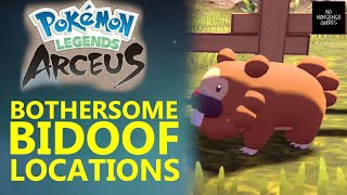 Bothersome Bidoof  Where to Find Missing Bidoof in Jubilife Village  Pokemon Legends Arceus [upl. by Nevanod]