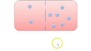 Membranpotential und elektrochemisches Gleichgewicht [upl. by Parfitt]