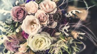 Wedding Bride Themes  by Roy Todd exclusive preview [upl. by Sharpe]