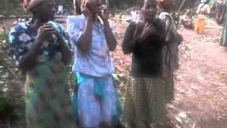 Chant des pygmée Baka  Cameroun [upl. by Vaclava]