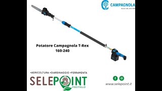 Potatore elettrico a batteria Campagnola T REX con asta telescopica 160240 per lavori di potatura [upl. by Asetal436]