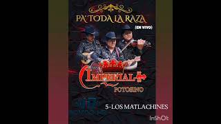 Los Matlachines  Trio Imperial Potosino Pa Toda La Raza [upl. by Zennas]