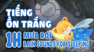 Tiếng Ồn Trắng Cho Trẻ Sơ Sinh Ngủ Ngon 💤 Tiếng Mưa Rơi Nhẹ Nhàng Dễ Ngủ Cho Bé 😴 Rain Sounds [upl. by Dougal299]