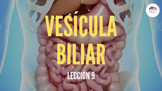 9 LA VESÍCULA BILIAR ESTRUCTURA Y FUNCIÓN DEL SISTEMA DIGESTIVO [upl. by Amikay]