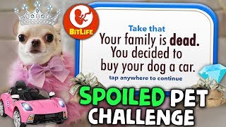 Doing everything for my Dog and nothing for my family in Bitlife  SPOILED PET CHALLENGE [upl. by Egamlat]