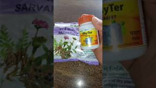 Patanjali Divya phyter tablet constipation general gastric problem indigestion [upl. by Yerffej]