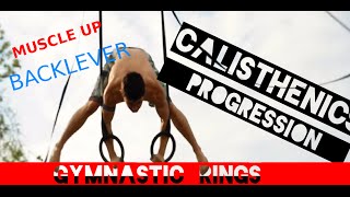 3 Months of CALISTHENICS gymnastic RINGS PROGRESSION FUN AT THE LAKE Summer 2014 [upl. by Ahsaekal]