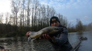 Metzler Park Chum Fishing Back to Back river washingtonstate fishingbobber centerpinfishing [upl. by Coheman]