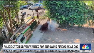 Driver wanted for throwing firework at dog in OC is caught [upl. by Barry]