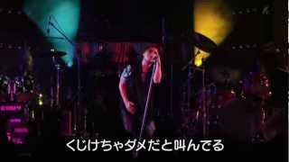 13甲斐バンド LIVE in 薬師寺 漂泊者アウトロー [upl. by Borlase]