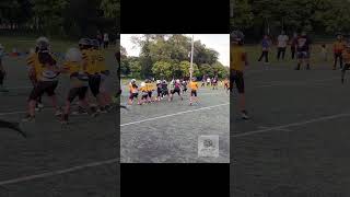 scrimmage football elite youtubeshorts ironsharpensiron nfl touchdown youthfootball sports [upl. by Boj]