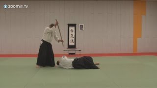 Aikido  Tachi Dori [upl. by Tonye141]