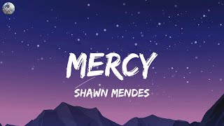 Shawn Mendes  Mercy letralyrics [upl. by Sone952]