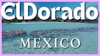 El Dorado Seaside Suites TUI BLUE 2024 Gourmet All Inclusive Resort [upl. by Gracie]