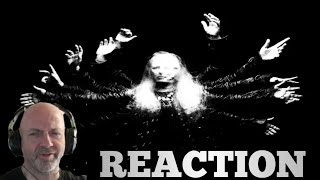 Jerry Cantrell  Vilified REACTION [upl. by Otrebla]