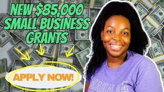 NEW 85K SMALL BUSINESS GRANTS IN 2024  Apply Now [upl. by Hernando628]