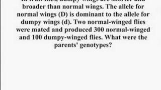 Genetics  Monohybrid Crosses [upl. by Crista]