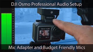 DJI Osmo Action Professional Audio with Adapter and Budget Mics [upl. by Maxma]