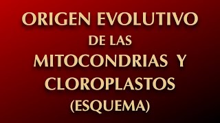 ORIGEN EVOLUTIVO DE LAS MITOCONDRIAS Y LOS CLOROPLASTOS ESQUEMA [upl. by Mina490]